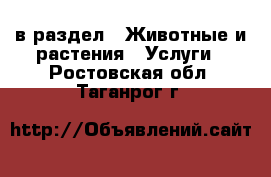  в раздел : Животные и растения » Услуги . Ростовская обл.,Таганрог г.